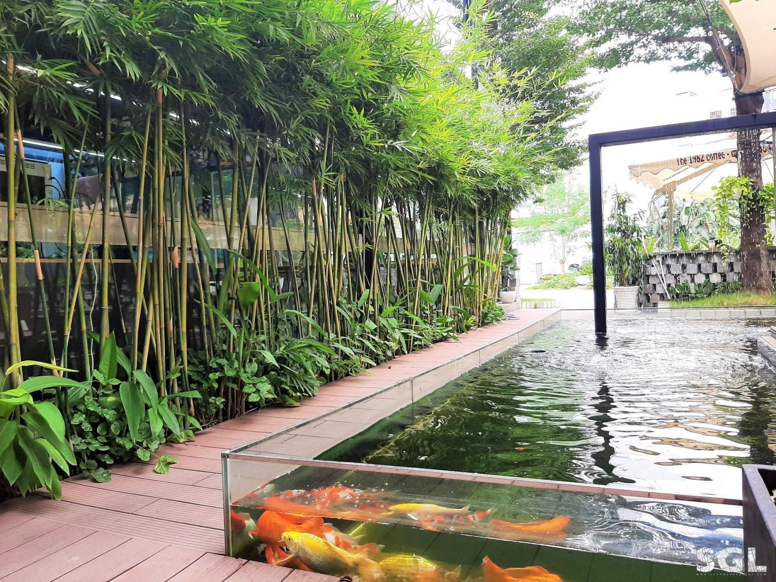 Hồ cá Koi 5 Hồ cá Koi 5